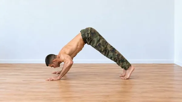 Flexão pike